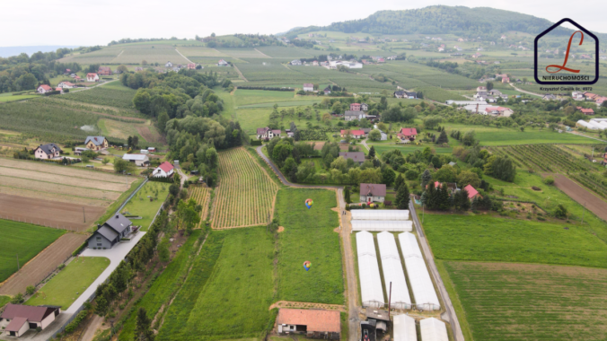 DJI_0107