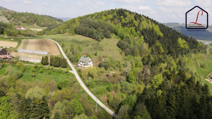 DJI_0990