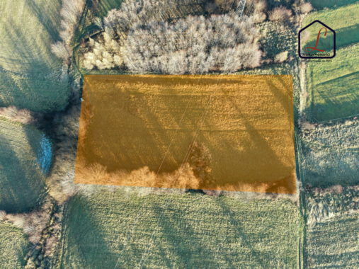 1B9AA745-DB8B-4661-BCF9-AC75BF6E615C