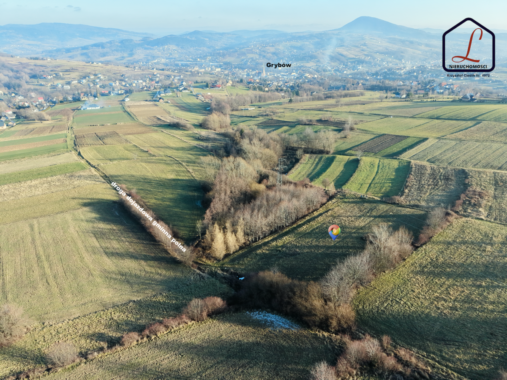 307341BB-6CF3-48AC-8603-02246F75418E