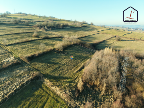 9E75D8E4-B56C-45AE-9C50-420B42636328