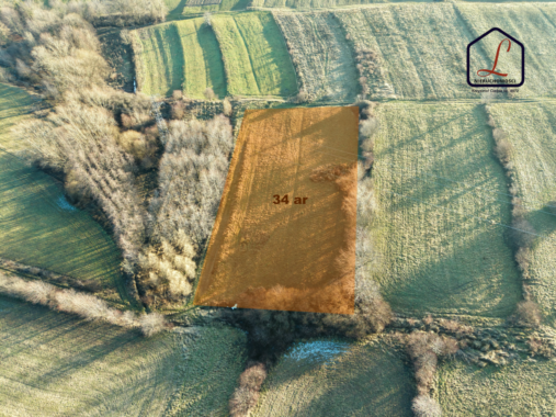 E3579E5C-610A-46EB-97C2-E671399B8036